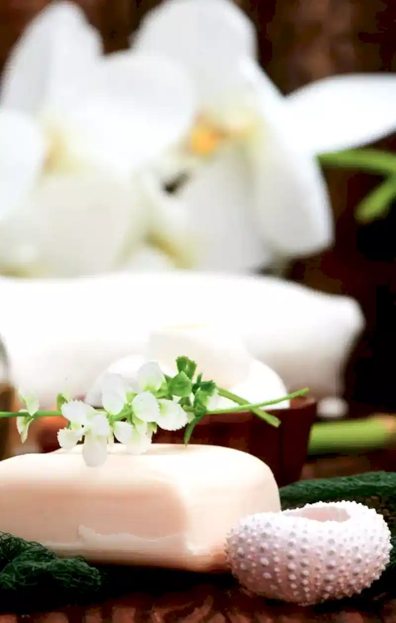 Luna Den Spa & Welness
